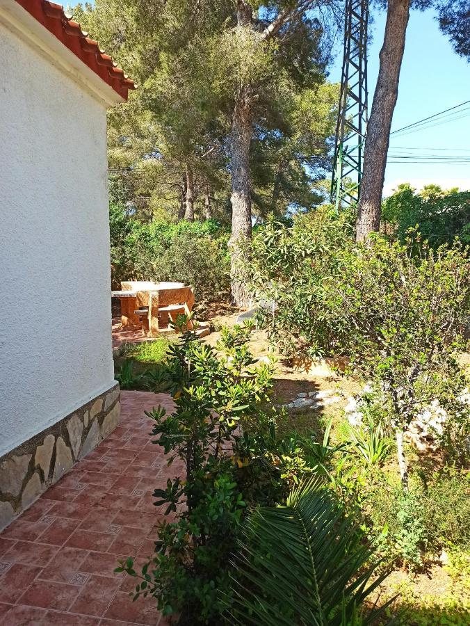 Javea Villa El Nido 10-15P Pool Minimaal 10 Nachten Geen Groep Jongelui Dış mekan fotoğraf